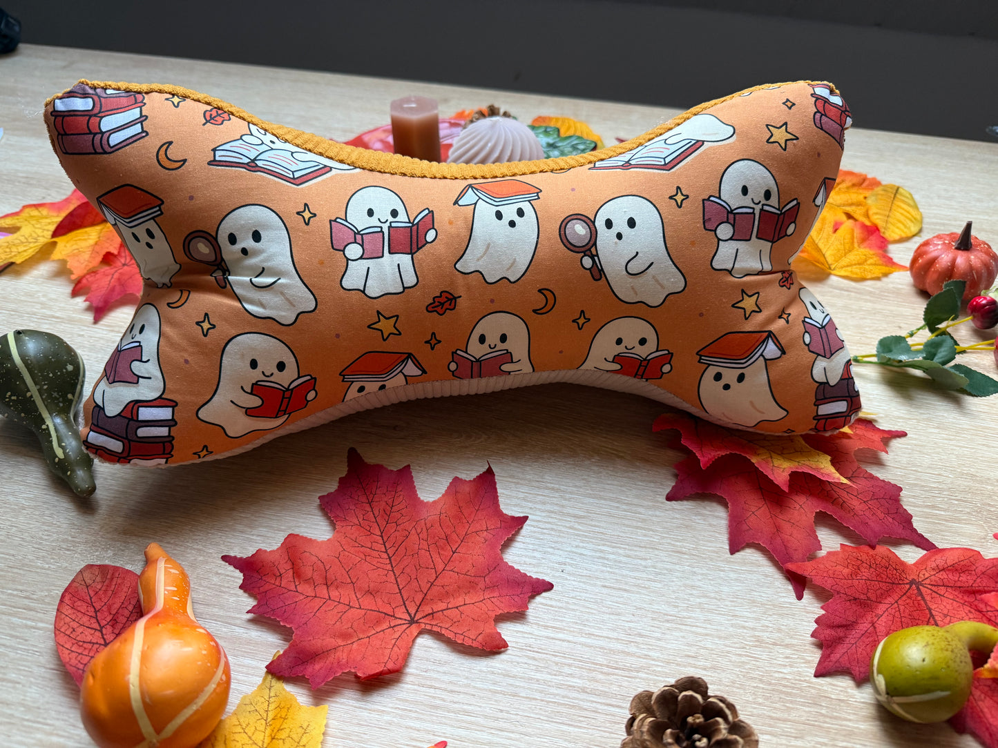 Coussin de Lecture - Ghost Reader