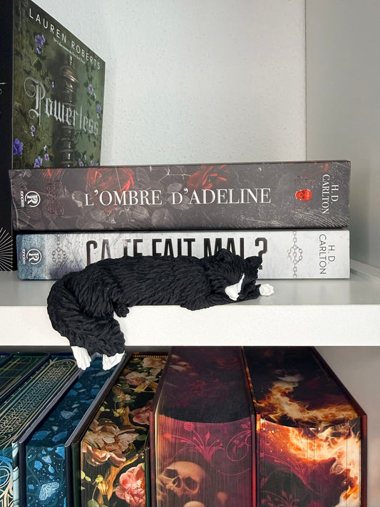 Décoration - Chat